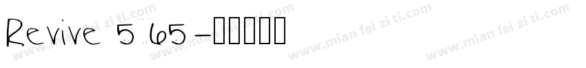 Revive 565字体转换